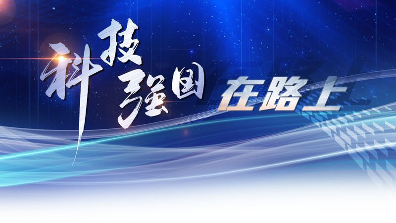 APP软件定制开发费用：揭秘影响成本的关键因素